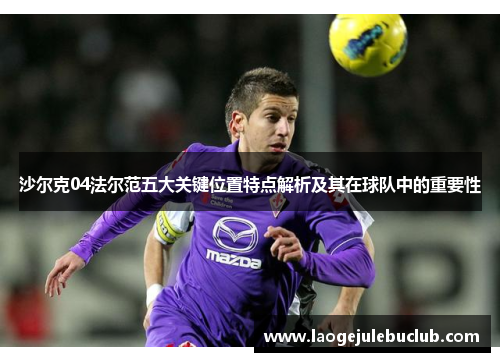 沙尔克04法尔范五大关键位置特点解析及其在球队中的重要性 沙尔克04法尔范五大关键位置特点解析及其在球队中的重要性