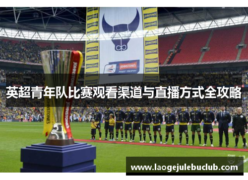英超青年队比赛观看渠道与直播方式全攻略