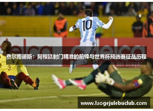 费尔南德斯：阿根廷射门精准的前锋与世界杯预选赛征战历程