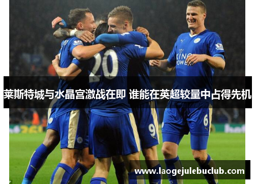 莱斯特城与水晶宫激战在即 谁能在英超较量中占得先机 莱斯特城与水晶宫激战在即 谁能在英超较量中占得先机