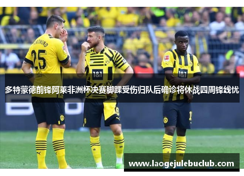 多特蒙德前锋阿莱非洲杯决赛脚踝受伤归队后确诊将休战四周锋线忧