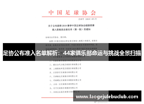足协公布准入名单解析：44家俱乐部命运与挑战全景扫描