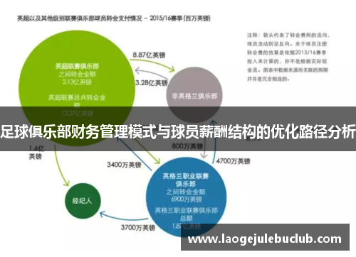 足球俱乐部财务管理模式与球员薪酬结构的优化路径分析