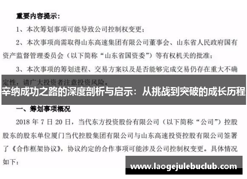 辛纳成功之路的深度剖析与启示：从挑战到突破的成长历程