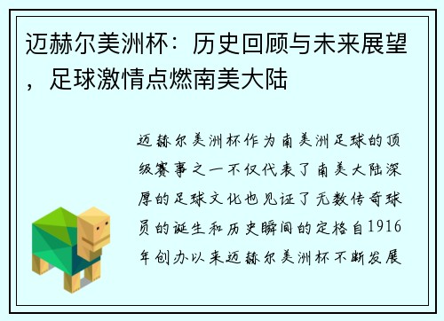 迈赫尔美洲杯：历史回顾与未来展望，足球激情点燃南美大陆